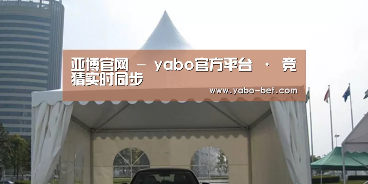 案例标题八